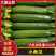 小黄瓜水果黄瓜荷兰小青瓜蔬菜基地直发无中间商