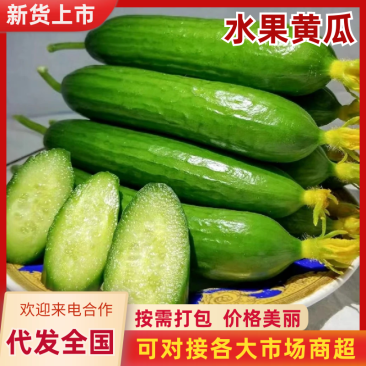 小黄瓜水果黄瓜荷兰小青瓜蔬菜基地直发无中间商