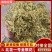 北花一号金银花