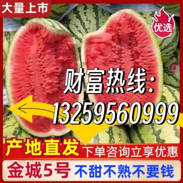 宁夏西瓜/硒砂瓜/石头瓜/金城系列/金花系列全国代发保熟保甜