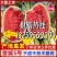 宁夏西瓜/硒砂瓜/石头瓜/金城系列/金花系列全国代发保熟保甜