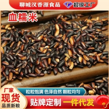 血糯米黑糯米黑香米批发一件代发贴牌代加工