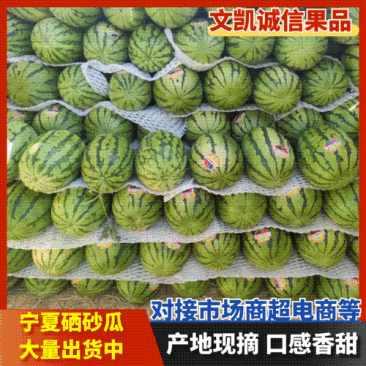正宗宁夏硒砂瓜石头瓜，大量上市，产地直出品质保证量大从优