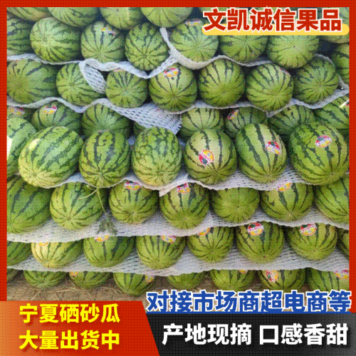 正宗宁夏硒砂瓜石头瓜，大量上市，产地直出品质保证量大从优