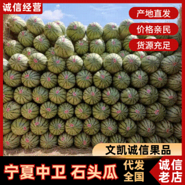 宁夏香山特大石头瓜，大量上市欢迎各位老板电话联系，可详谈