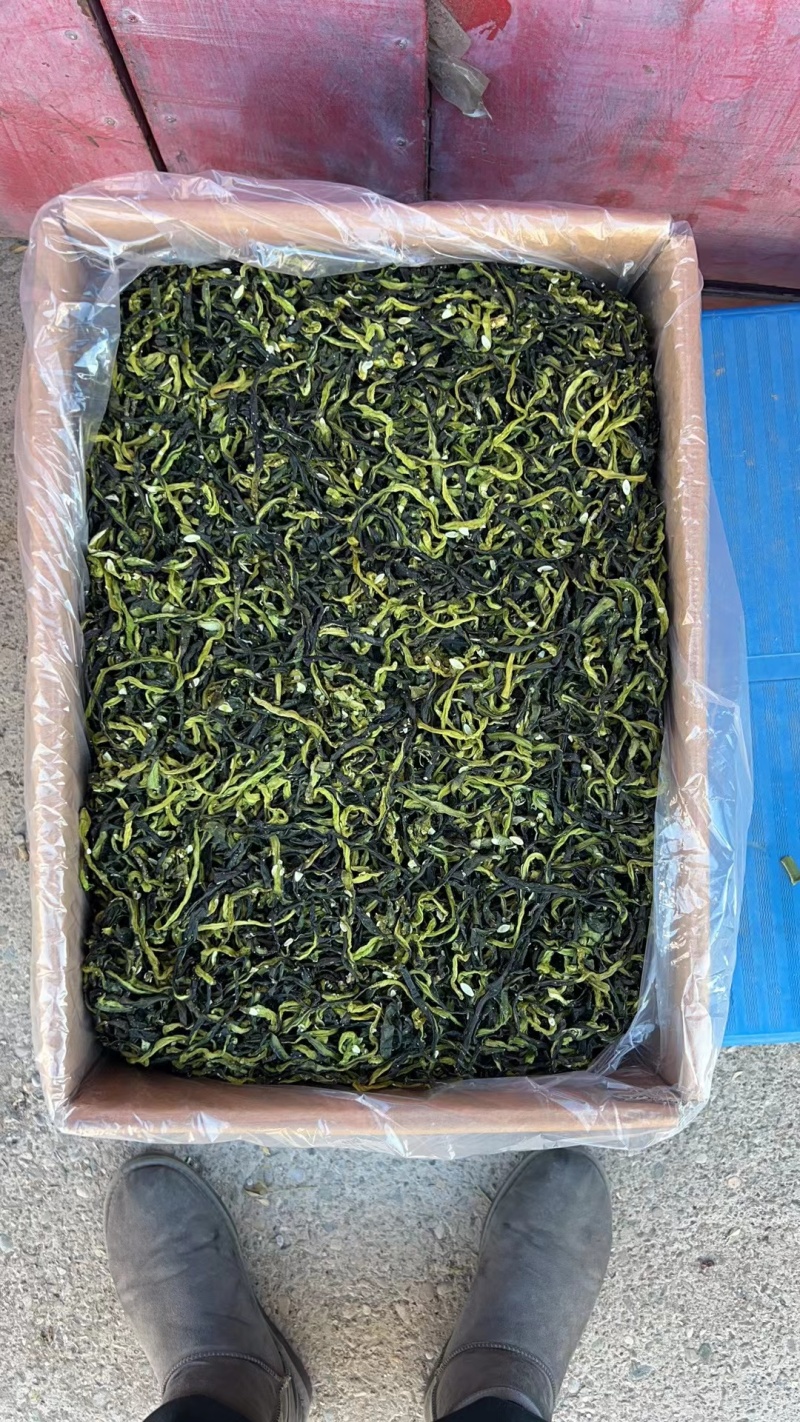 新货脱水黄瓜条鲜货现发，量大从优，欢迎订购