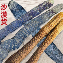 肉苁蓉软质新疆精品货泡茶泡水喝料产地批发