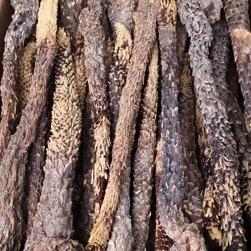 肉苁蓉软质新疆精品货泡茶泡水喝料产地批发