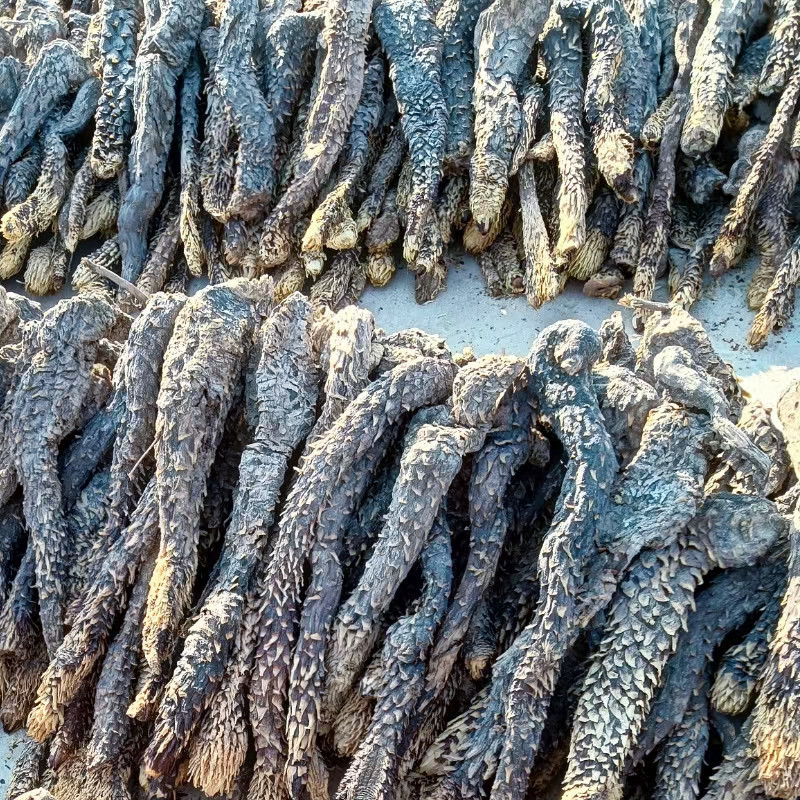 肉苁蓉软质新疆精品货泡茶泡水喝料产地批发