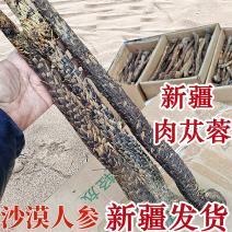 肉苁蓉软质新疆和田特产泡水泡茶软制料包邮批发