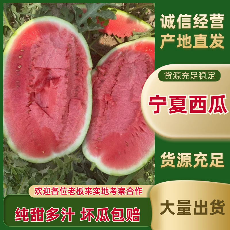 [金城5号西瓜批发]甘肃白银靖远县西瓜 0.30元/斤甘肃西瓜 _ 一亩田