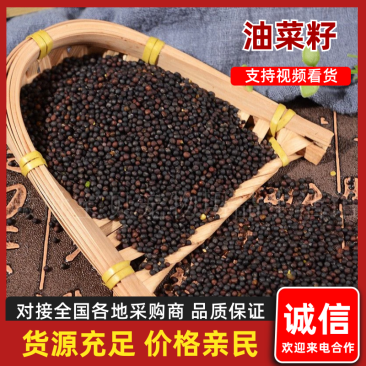 四川广安精品菜籽油精挑细选干净无杂质颗粒饱满质优