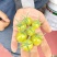 【实力推荐】山东淮坊青田2号小番茄青口蜜量大从优