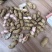 【鲁花花生】鲜花生鲁花花生现摘现发货源充足稳定电联