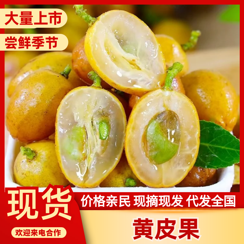 鸡心黄皮果广西黄皮果大量现货供应，规格齐全，对接电商市场