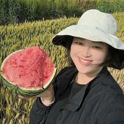 无籽美都西瓜/美都麒麟瓜/产地直发/包熟包甜可全国发货