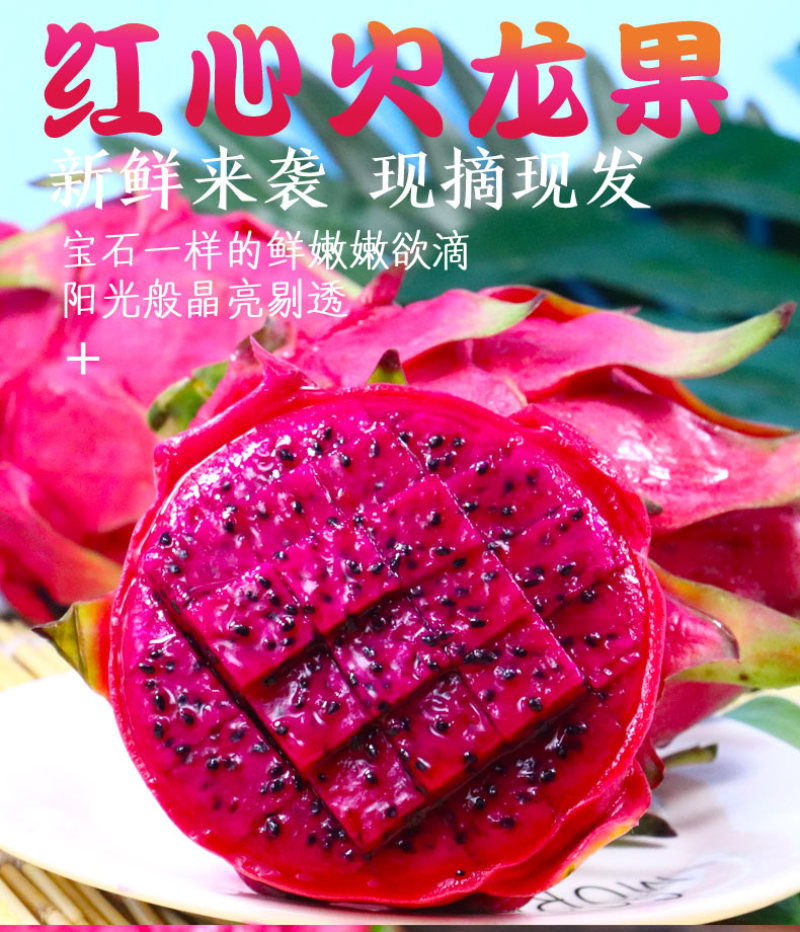 红心火龙果一件代发京都一号红肉火龙果红色当季新鲜水果