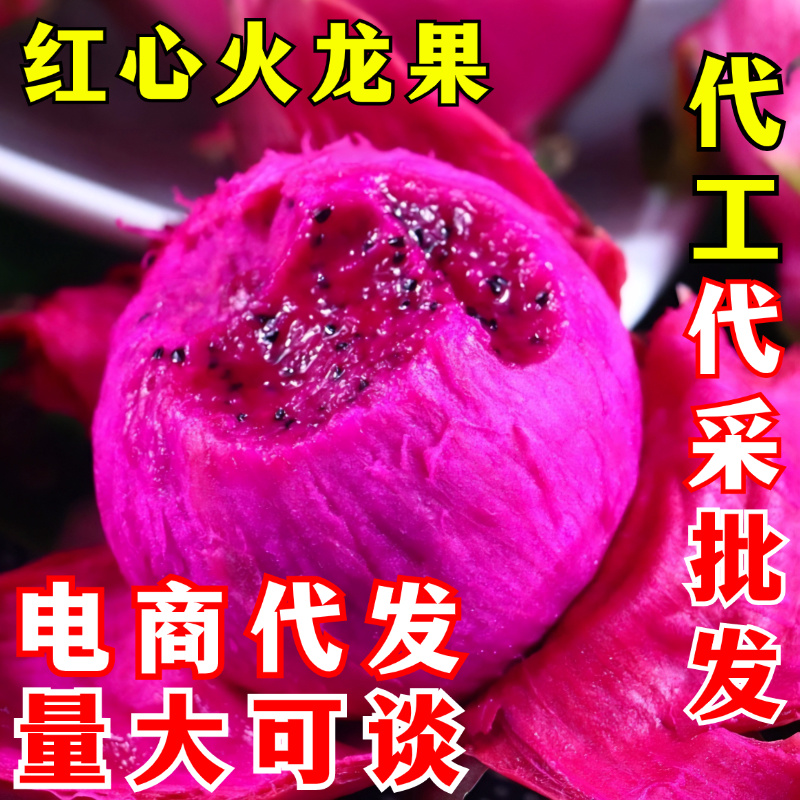 红心火龙果一件代发京都一号红肉火龙果红色当季新鲜水果