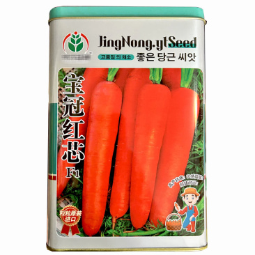 宝冠红芯胡萝卜种子300g表皮红色七寸三红春秋种植