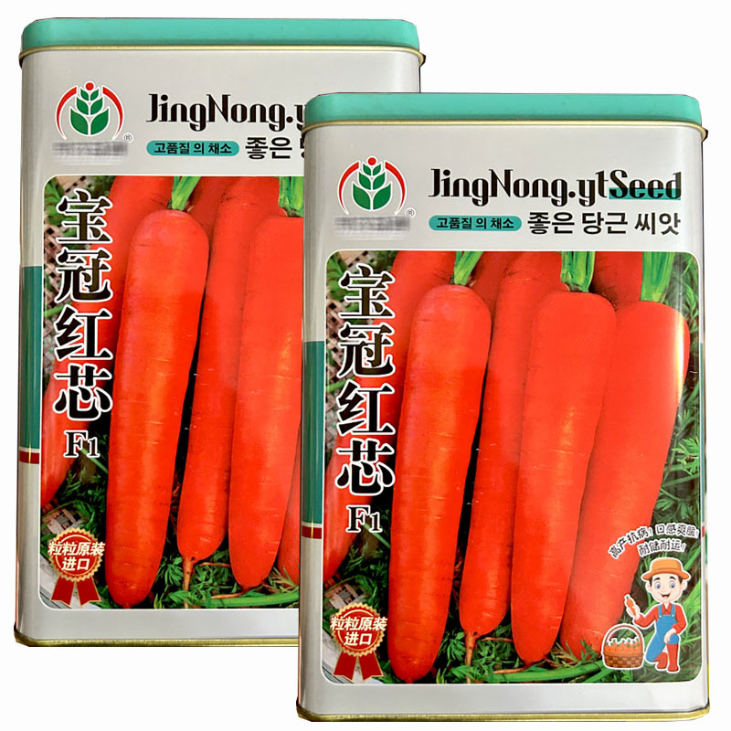 宝冠红芯胡萝卜种子300g表皮红色七寸三红春秋种植