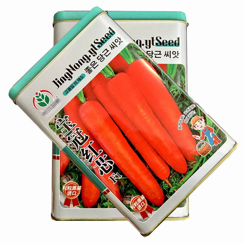 宝冠红芯胡萝卜种子300g表皮红色七寸三红春秋种植