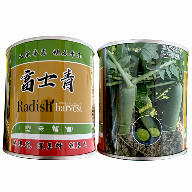 富士青水果青萝卜种子50g三系杂交绿皮绿肉鲜食大田基地