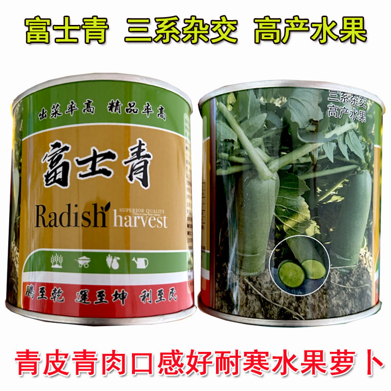 富士青水果青萝卜种子50g三系杂交绿皮绿肉鲜食大田基地