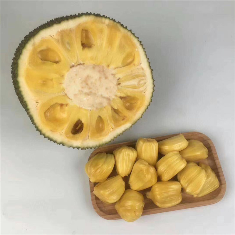 海南黄肉菠萝蜜对接电商一件代发，欢迎老板