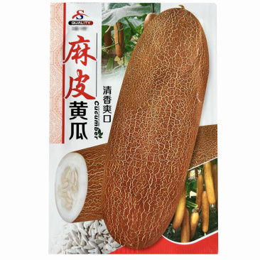 麻皮老黄瓜种子旱黄瓜春季夏秋冬季田园农家基地高产