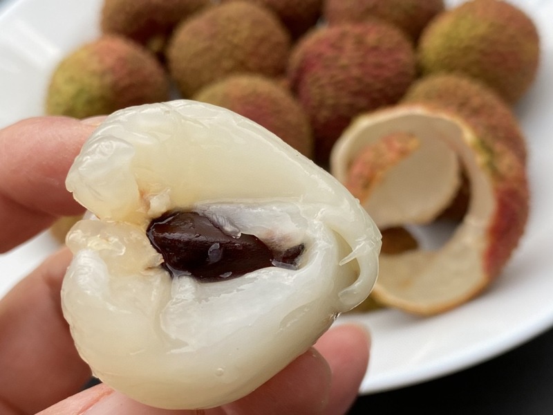 荔枝黑叶/桂味/白蜡/妃子笑/白糖罂对接电商一件代发