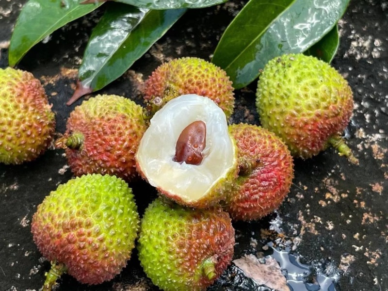 荔枝黑叶/桂味/白蜡/妃子笑/白糖罂对接电商一件代发