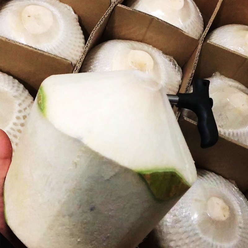 海南椰青青椰子对接电商一件代发商超团购批发