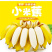 广西小米蕉/禁止蕉绿（网红款）/苹果蕉香蕉电商一件代发