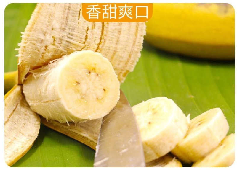 广西小米蕉/禁止蕉绿（网红款）/苹果蕉香蕉电商一件代发