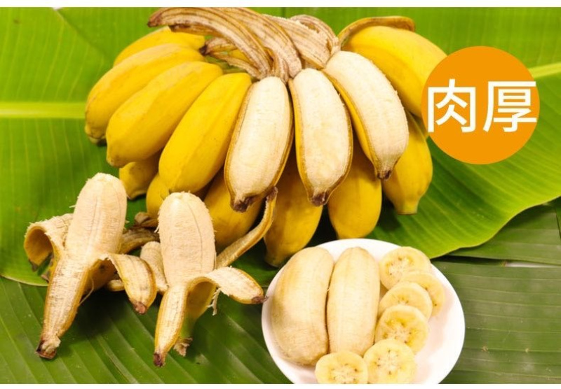 广西小米蕉/禁止蕉绿（网红款）/苹果蕉香蕉电商一件代发