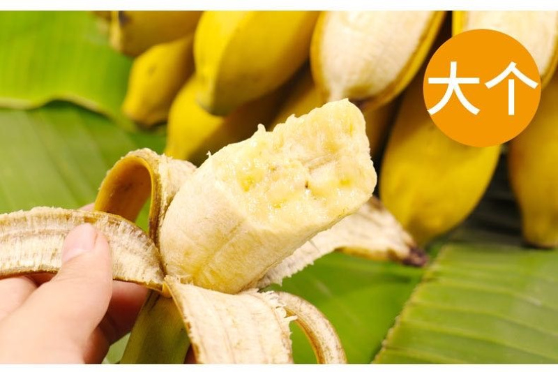 广西小米蕉/禁止蕉绿（网红款）/苹果蕉香蕉电商一件代发
