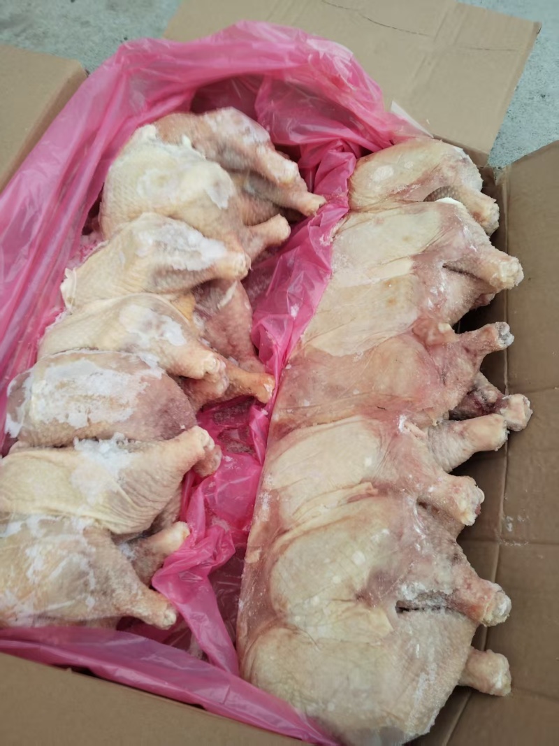 老鸡排腿种母鸡排腿手枪腿鸡大腿鸡腿肉