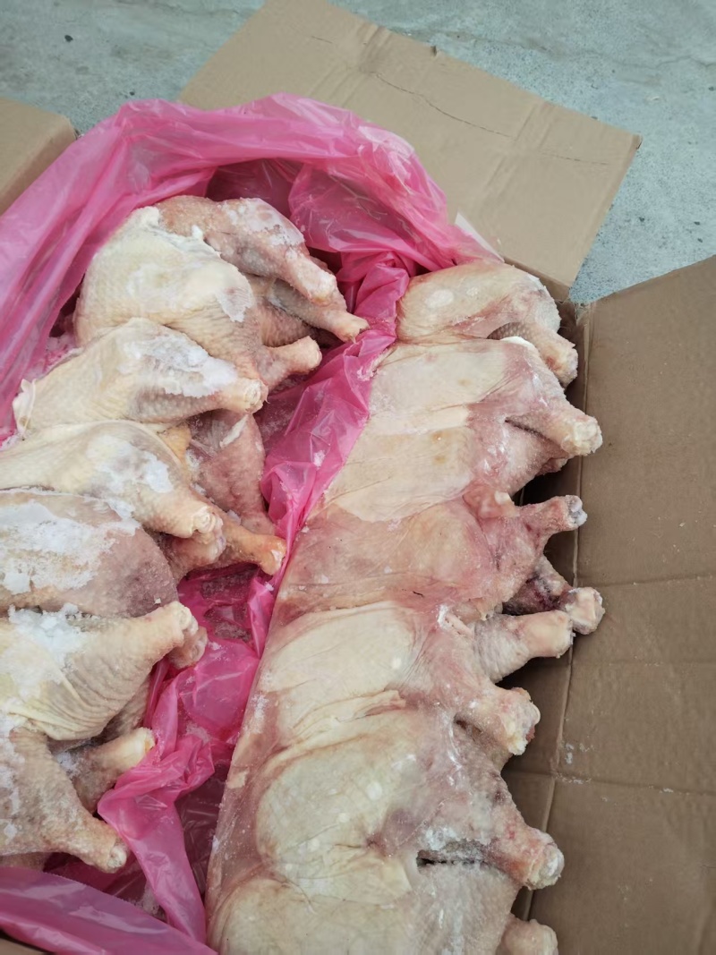 老鸡排腿种母鸡排腿手枪腿鸡大腿鸡腿肉