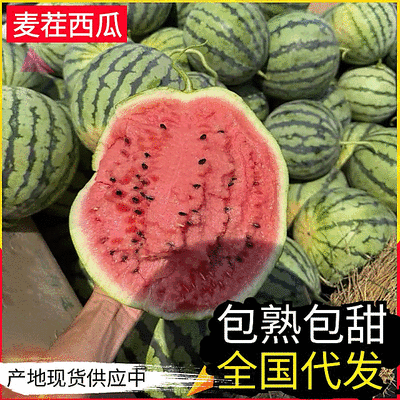 《麦茬美都》周口扶沟/有籽西瓜/产地代发全国/包熟包甜