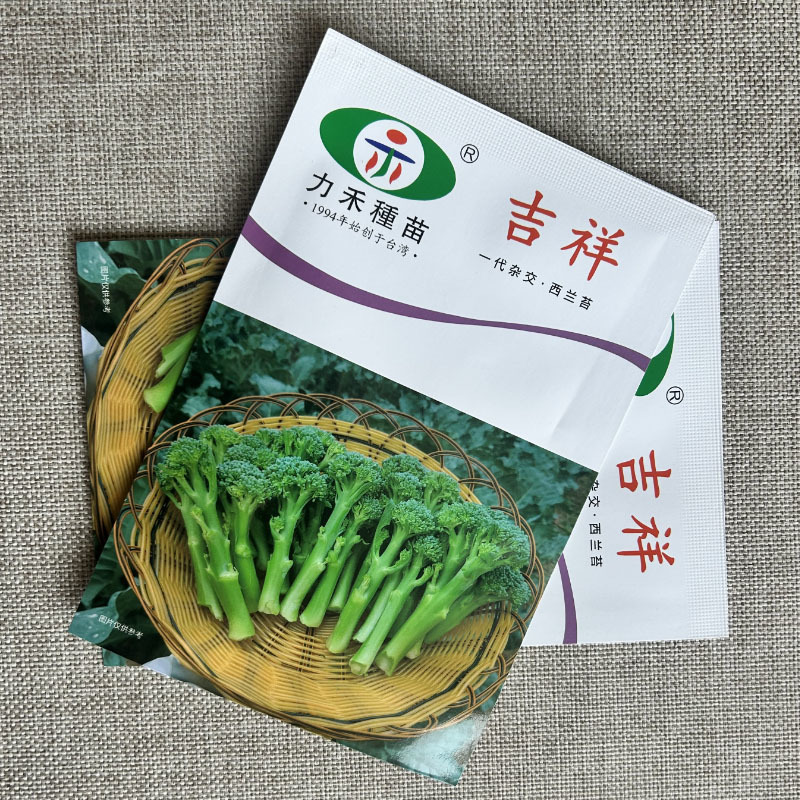 西兰苔种子吉祥杂交芥兰甜软高产1000粒春秋基地用种