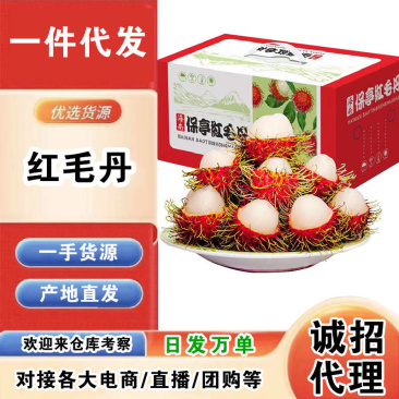 海南保亭红毛丹一件代发产地直发一手货源对接各大电商平台