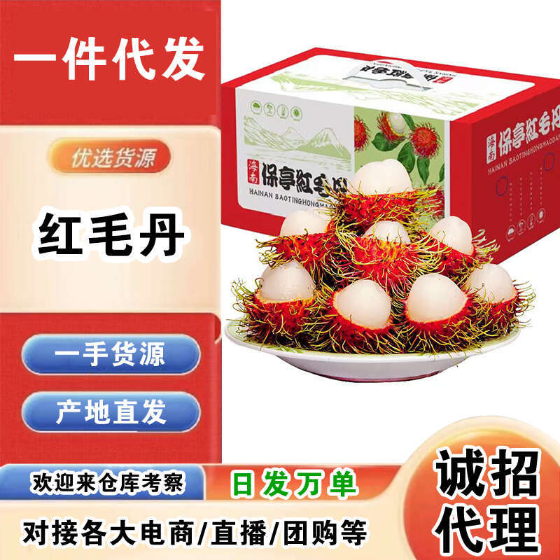 海南保亭红毛丹一件代发产地直发一手货源对接各大电商平台