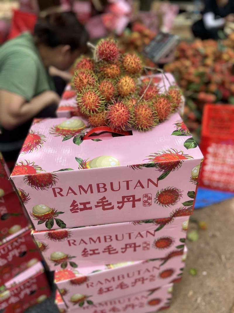 海南保亭红毛丹一件代发产地直发一手货源对接各大电商平台
