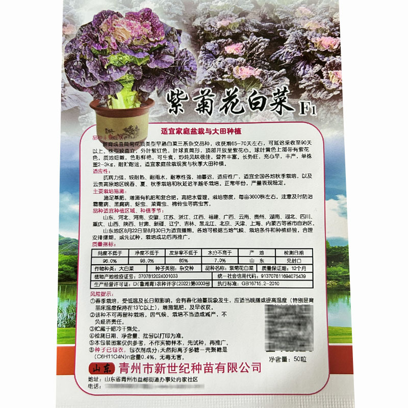 紫菊花白菜种子早熟三系杂交紫花心长势旺基地品种