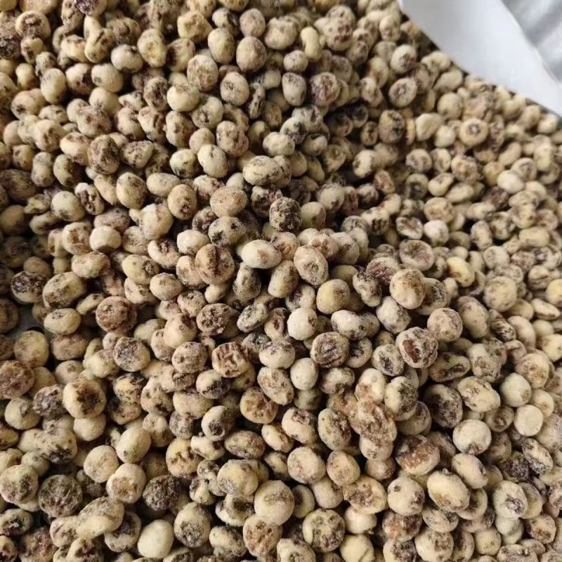 新疆油莎豆