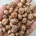 新疆油莎豆
