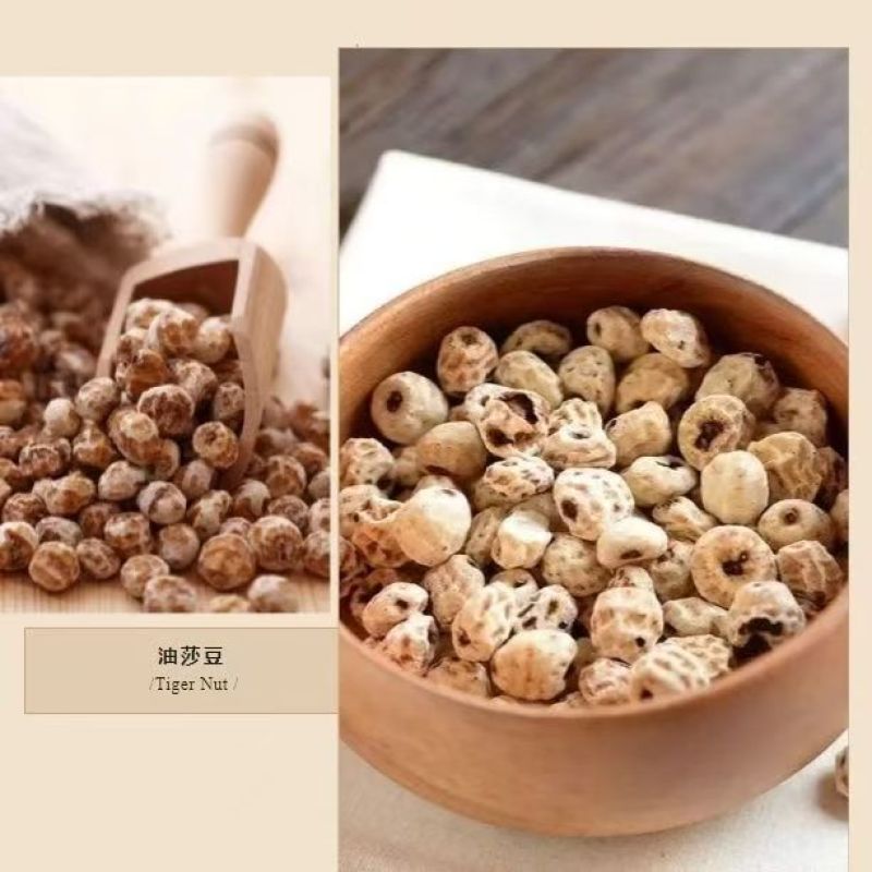 新疆油莎豆