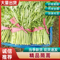 茼蒿精品茼蒿山西运城茼蒿产地直发品质保障对接全国