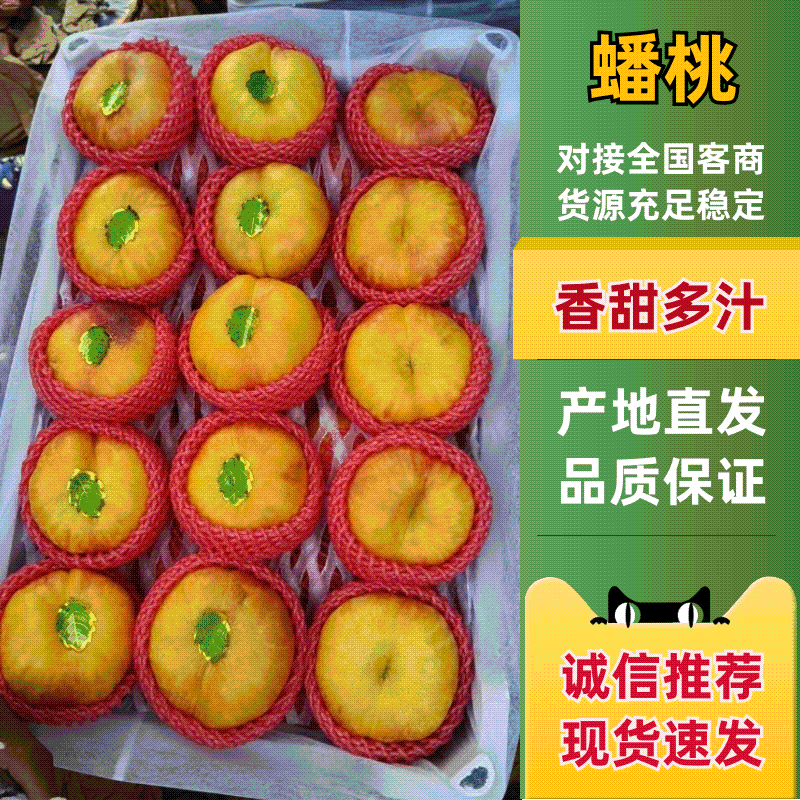 河北一手货源油蟠九蟠桃清甜可口量大从优价格美丽质量**