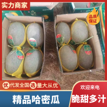 哈密瓜民勤哈密瓜产地直发品质保障对接全国商超市场